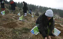 Uruguayan pastor raises money to plant 1,000 trees in Israel