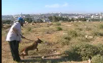 Jewish family near Hevron saved by dog who bit terrorist