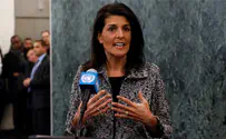 'Haley is in a position to take on future senior roles'