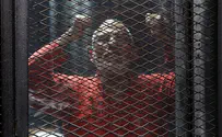 Egypt: Muslim Brotherhood leader sent to life in prison