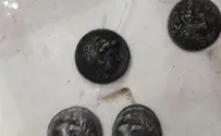 סוכל ניסיון הברחת מטבעות עתיקים מעזה