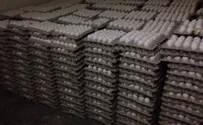Authorities destroy 6,000 eggs 