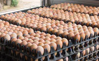 Official who allowed uninspected PA eggs into Israel sentenced