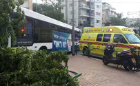 נס ברמת גן: אוטובוס התנגש בבית קפה