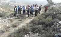 Arabs target Samaria community under 'olive harvest' cover
