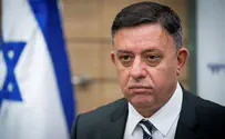 Gabbay on peace: Time to stop the 'blame game'