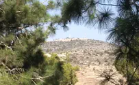AG okays normalization, expansion of Jewish town in Samaria