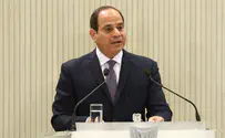 Sisi vows to respond to Sinai attack 'with brute force'