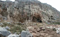 Oldest human fossil outside Africa found in Israel's north