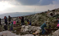 Youth injured in Arab rock attack on children's planting event