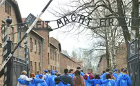 Can Holocaust education combat antisemitism?