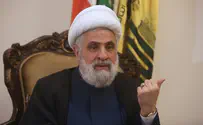 Deputy Hezbollah leader: We only make up 10% of the government