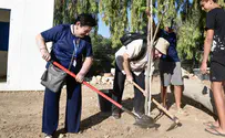 Jewish leaders plant trees in southern Israel