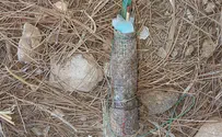 Gaza bomb found in Israeli forest
