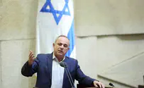 שטייניץ הציג: ''תכנית להצלת ישראל''