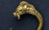 עגיל זהב מרהיב ועתיק התגלה בעיר דוד