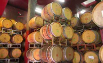 Israeli winery: 'Add us to appeal on labeling our wines'