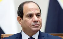 Sisi: Peace with Israel is 'stable and permanent'