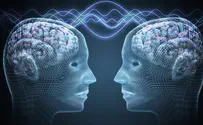 Three brains successfully connected enabling thought-sharing