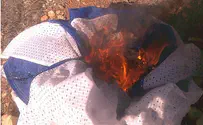 Teens suspected in Arab woman's death torched Israeli flag