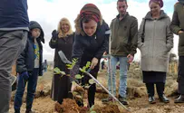 Wounded couple plants tree in memory of murdered baby