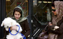 'No dogs allowed: Iran's capital bans dogs