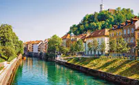 סלובניה: חבר הפרלמנט גנב כריך והתפטר