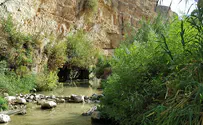 אלפי ישראלים פקדו את שמורות הטבע