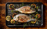 מבשלים לחג: כך תזהו דג טרי ואיכותי