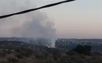 Coordinated smoke plague in Judea and Samaria