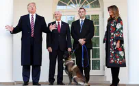 טראמפ נתן כבוד לכלבה המפורסמת בעולם