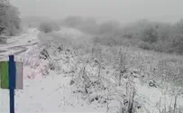 צפו: שלג ברמת הגולן     