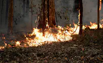 'Australia fires are impacting physical, mental health'