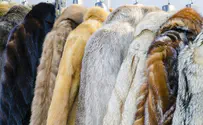 UK rabbis support fur ban with exemption for shtreimels