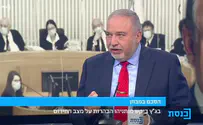 Avigdor Liberman: Haredim raise children to be 'election fodder'