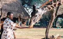 These Are The 5 Best Places for a Holiday in Kenya
