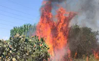 Gaza terror ignites 35 fires in southern Israel