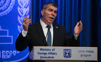 Foreign Minister Ashkenazi criticizes UN Human Rights Council