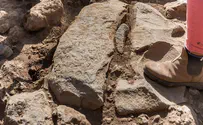 אבן גבול בת 1700 שנה נחשפה בגולן