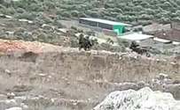 IDF: Arabs destroy sheep enclosure, arrested near Yitzhar