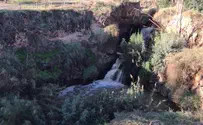 Watch: Harod River flows to the Jordan