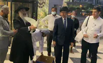 Watch: Doves of peace released in Dubai