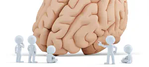 חכמה היא דבר חשוב?