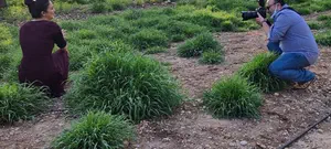 "מעל הציפיות שלנו": 500 מחפשי זוגיות הגיעו ליום הצילומים של פרויקט 252