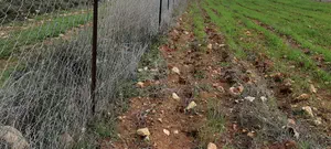 מתחת לאף: ממשלת נתניהו מפקירה אלפי דונמים