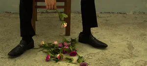 פרויקט 252 חושף: הסגולה הבדוקה כיצד לא להתחתן