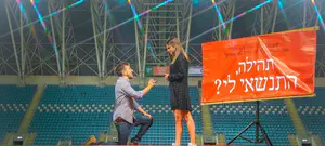 7 ברנז'ה: הקינדרלעך כבר לא קינדרלעך