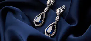 חיפשו עגיל ומצאו מאה אלף דולר