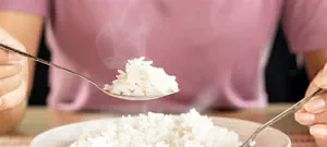 הושק בוט הוואטסאפ של ארגון כושרות