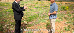 בנימין ערוכה להסברת השמיטה